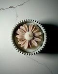 Handmade Jesmonite Jar - Sage | Organic Soy Candle | Blush Daisy