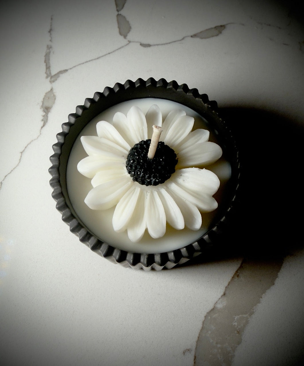 Handmade Jesmonite Jar - Black | Organic Soy Candle | B&W Daisy