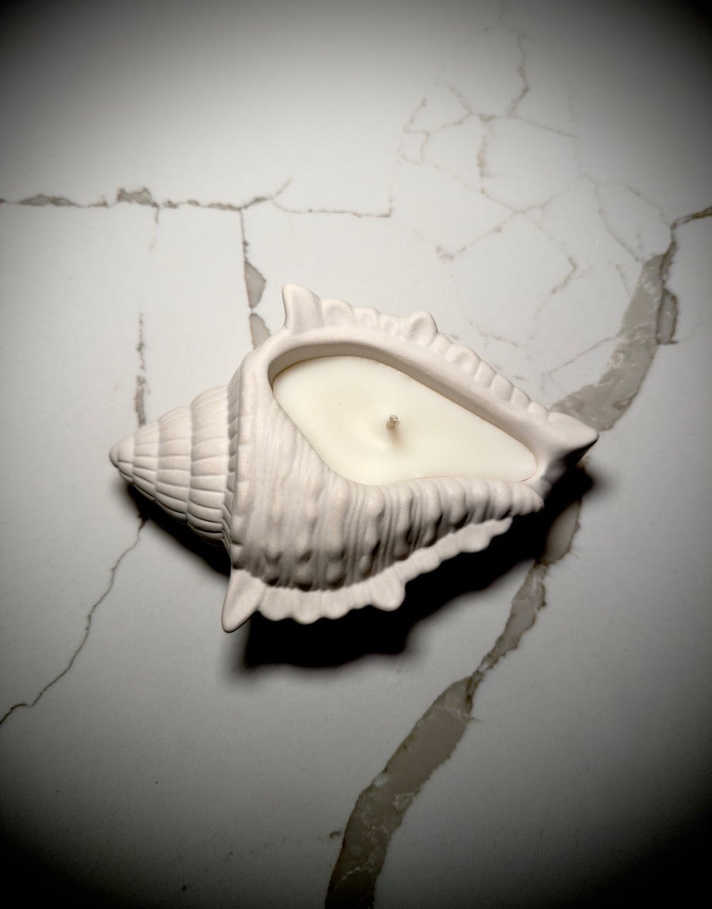Handmade Seashell Soy Candle | Jesmonite Shell Vessel Coastal Decor