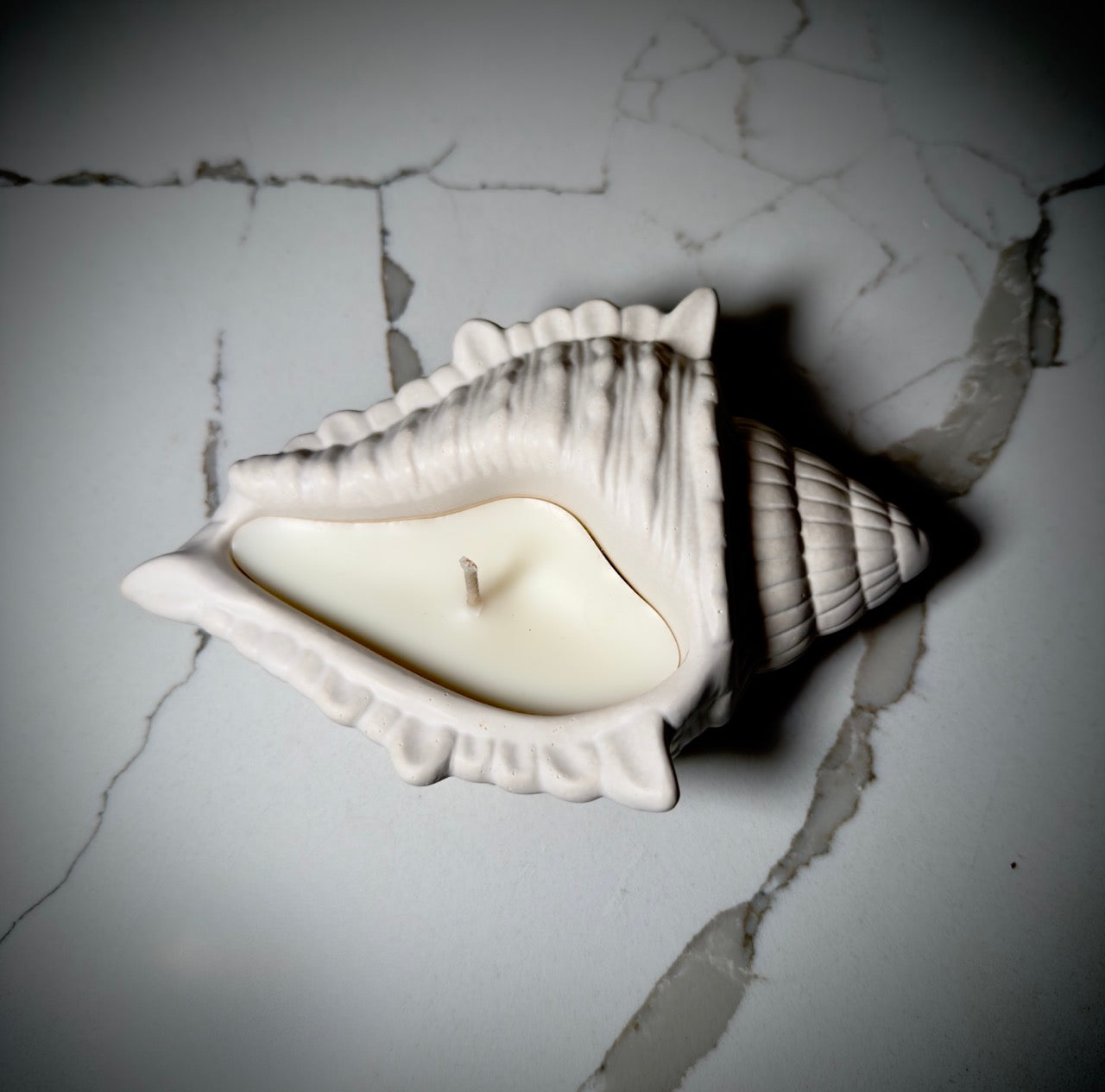 Handmade Seashell Soy Candle | Jesmonite Shell Vessel Coastal Decor