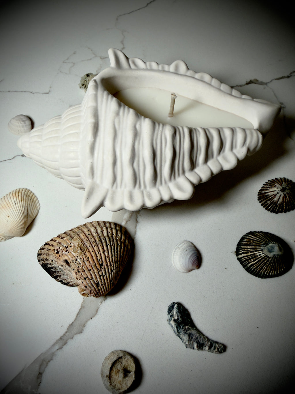 Handmade Seashell Soy Candle | Jesmonite Shell Vessel Coastal Decor